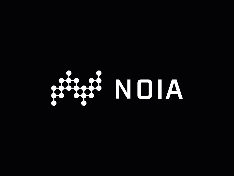 NOIA is the future of internet?
