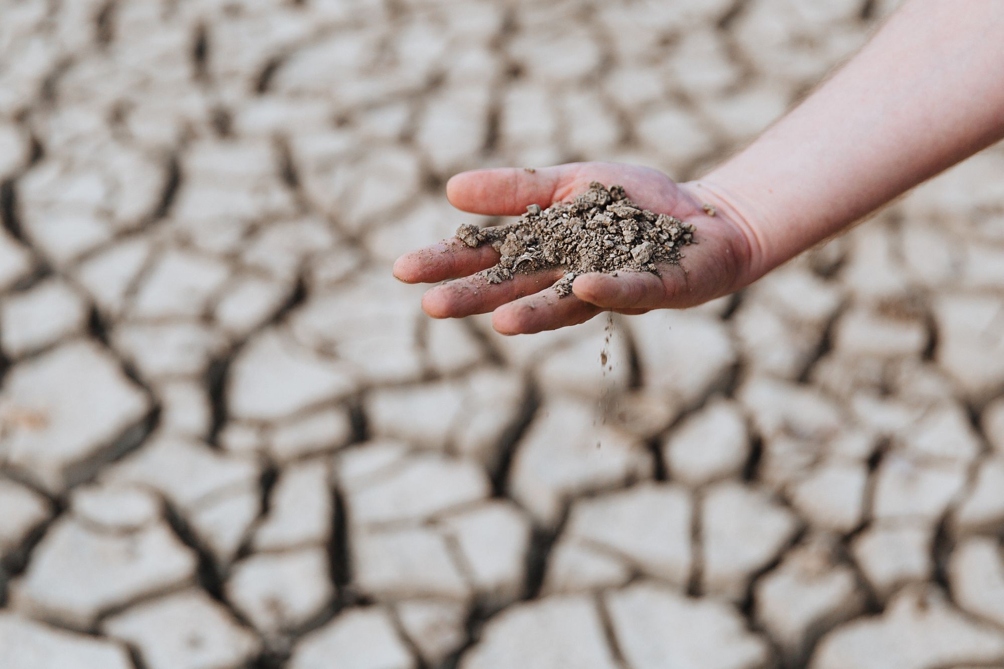Laos’s Crypto Mining Projects Suspended Due to Drought