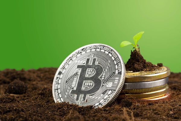 Chinese company (Nasdaq: NINE) is investing in a carbon neutral crypto mine in Canada