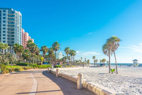Florida’s Governor: “Taxes Should Be Payable in Crypto”